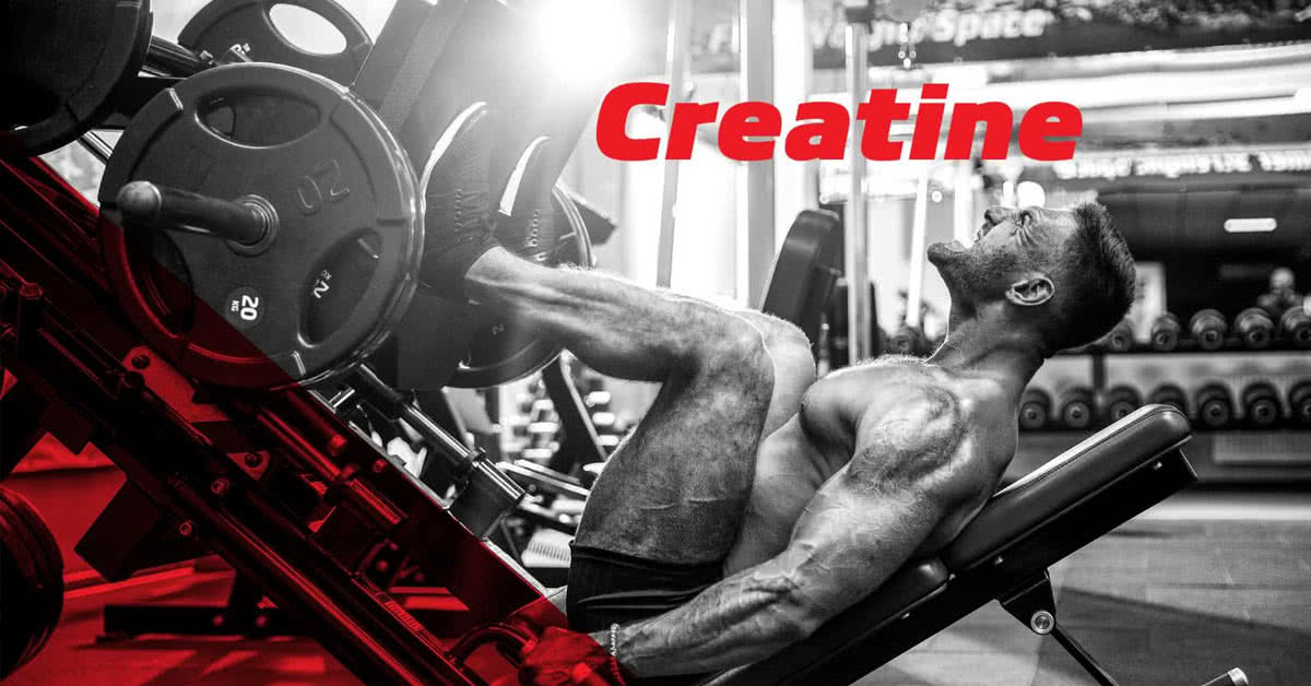 Construindo músculos maiores com a ajuda da creatina